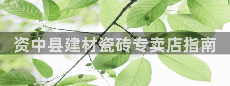 杏鑫娱乐是真的吗还是假的