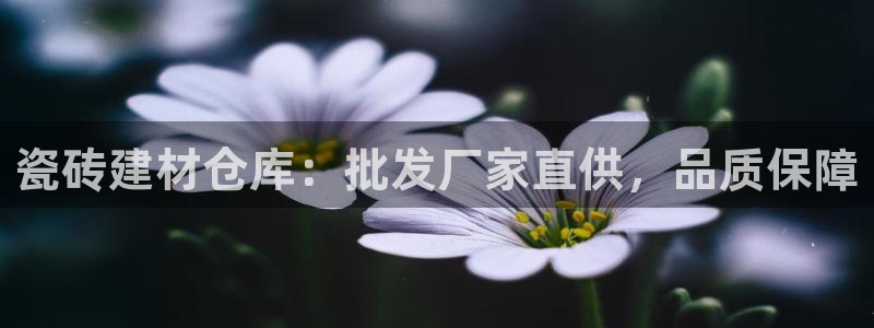 杏鑫官网最新信息