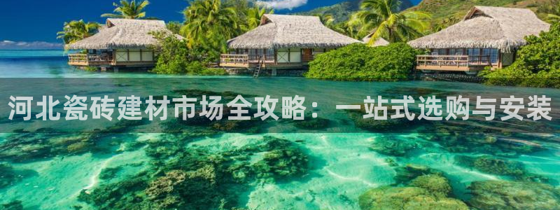 杏鑫官网最新信息新闻报道