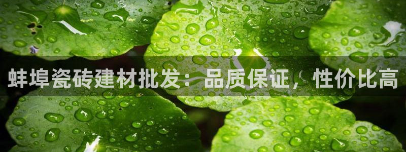 杏鑫官方平台怎么样啊知乎
