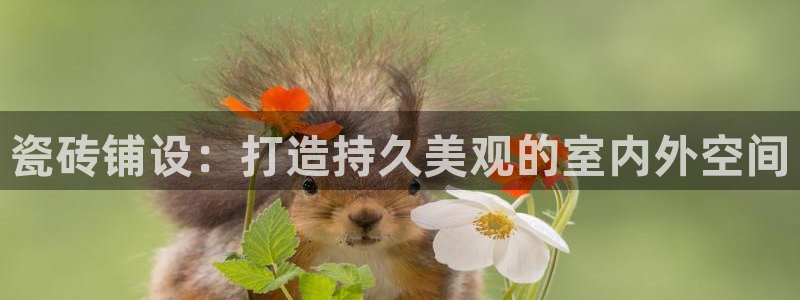 杏鑫娱乐-官方网站