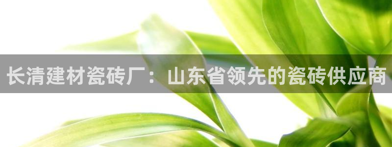 杏鑫娱乐怎么下
