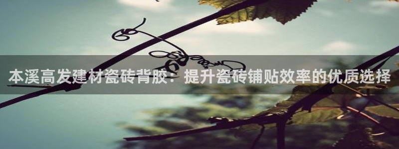 杏鑫平台官方网站