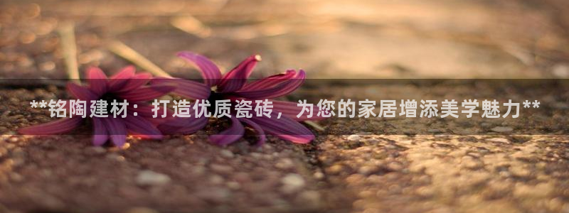 杏鑫娱乐多少年了