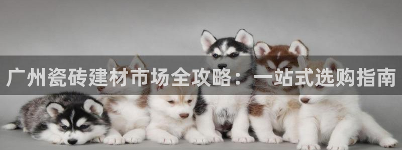 杏鑫平台招商电话