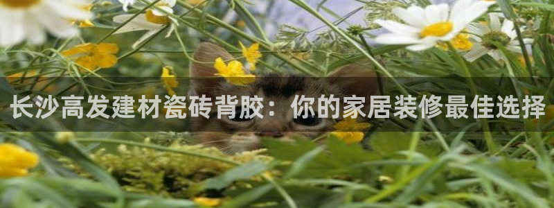 杏鑫平台线路测速