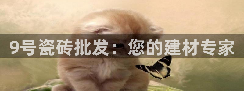 杏鑫平台靠谱吗