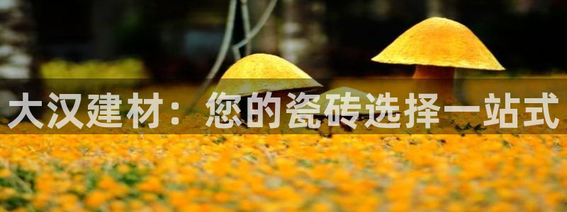 杏鑫平台登录地址查询