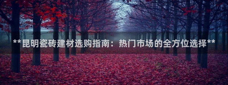 杏鑫平台直属