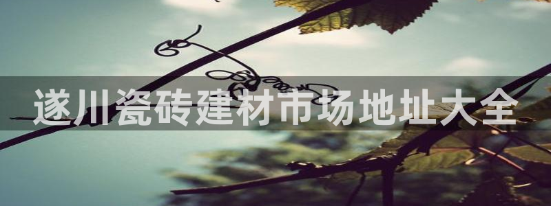 杏鑫平台招商怎么样