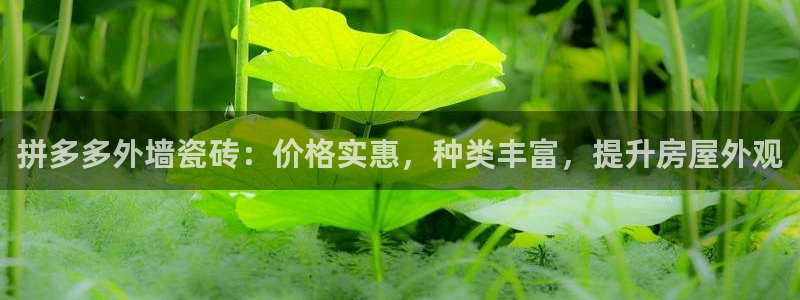 杏鑫平台代理怎么样赚钱