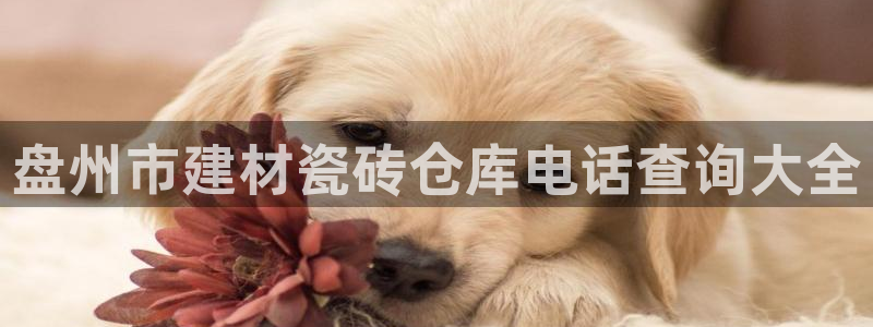杏鑫平台平台娱乐