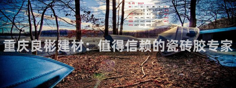 杏鑫平台招商电话是多少