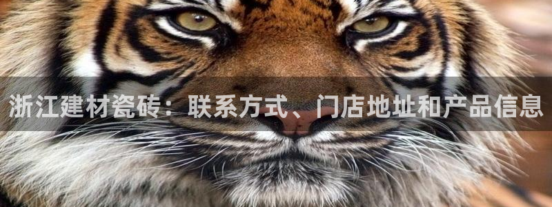 杏鑫平台注册网址查询