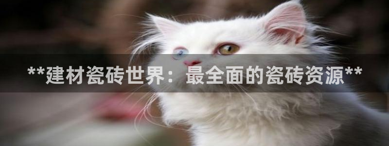杏鑫娱乐平台
