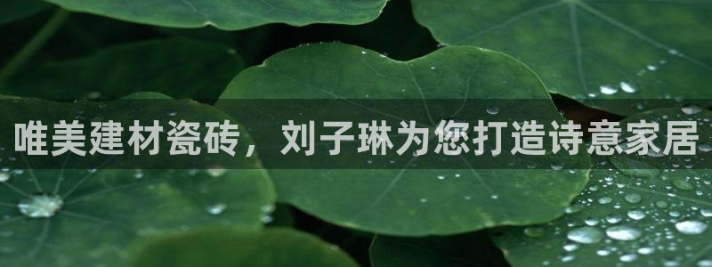 杏鑫娱乐官网下载