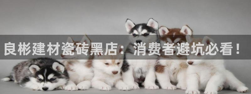 杏鑫平台列7O777