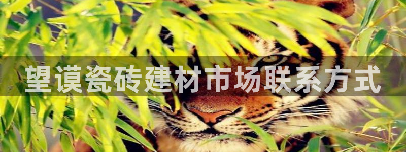 杏鑫官方平台怎么样啊安全吗