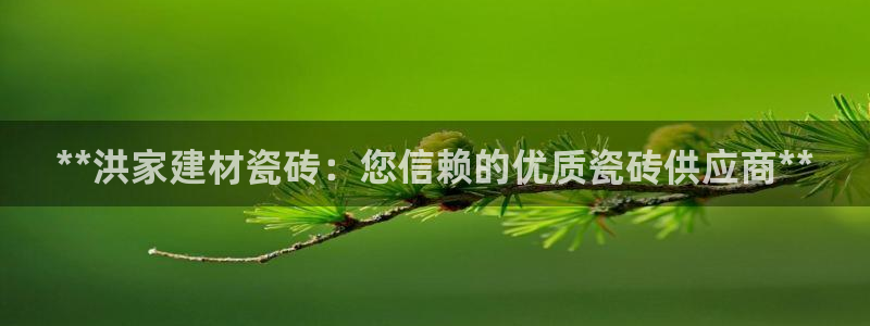 杏鑫平台代理怎么样啊