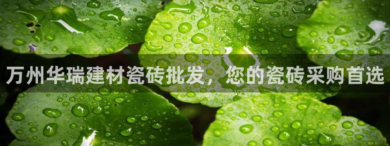 杏鑫娱乐官网首页