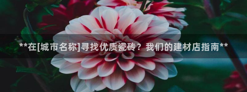 杏鑫平台待遇