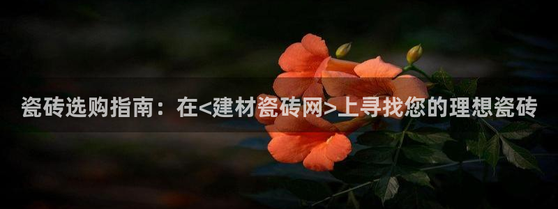 杏鑫平台招商电话号码查询