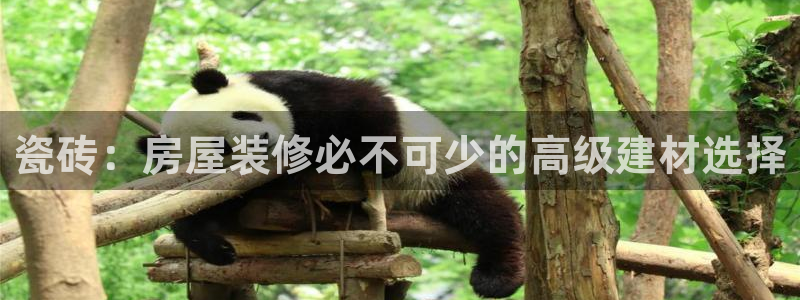 杏鑫注册平台官方网站是什么