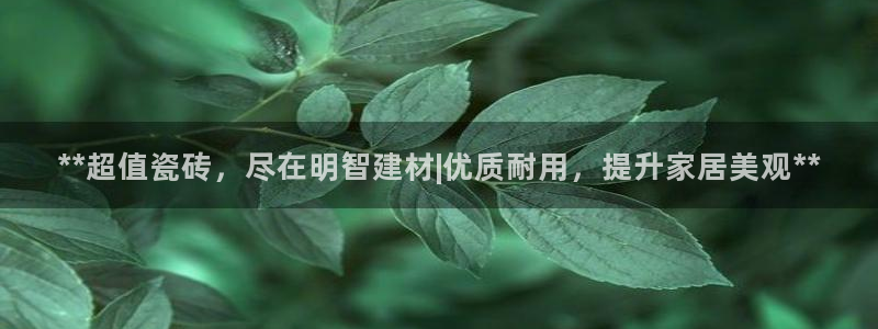 杏鑫平台注册入口
