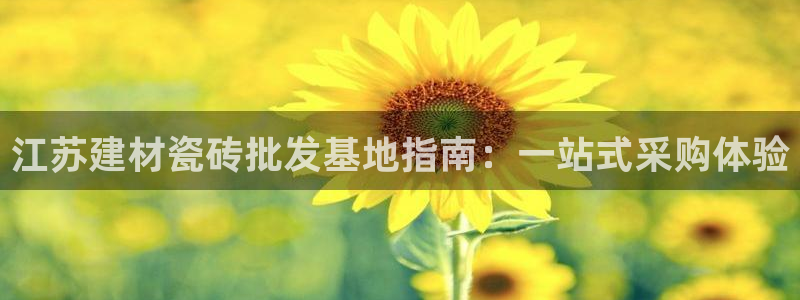 杏鑫官方平台怎么样