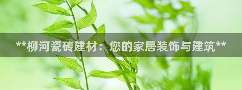 杏鑫平台登录地址在哪