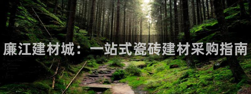 杏鑫平台招商电话