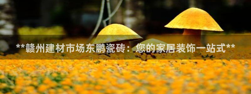 杏鑫平台代理注册多少钱一个