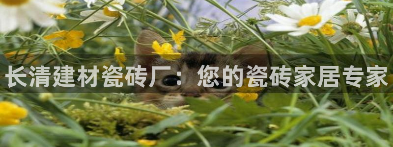 杏鑫平台官方网站