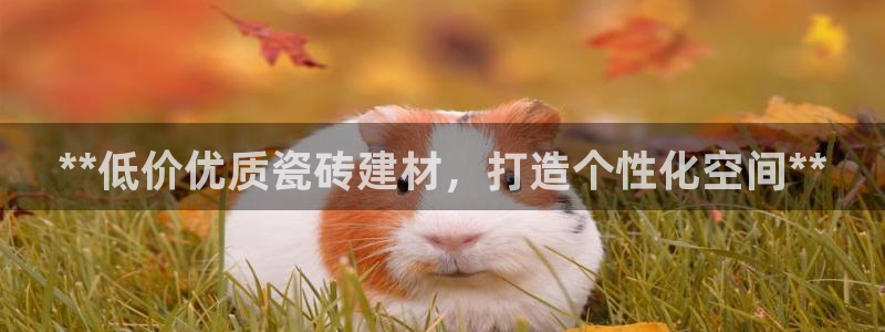 杏鑫平台登录地址是什么