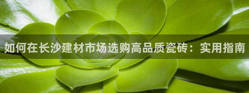杏鑫平台正规吗是真的吗