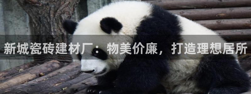 杏鑫平台注册网址查询