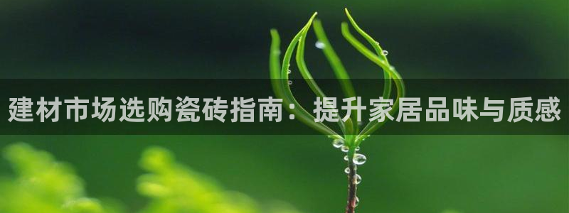 杏鑫平台正规吗