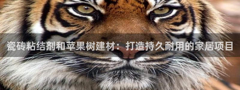 杏鑫娱乐测速