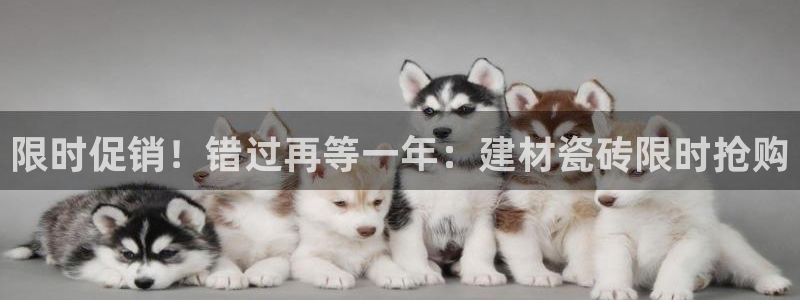 杏鑫娱乐负责人