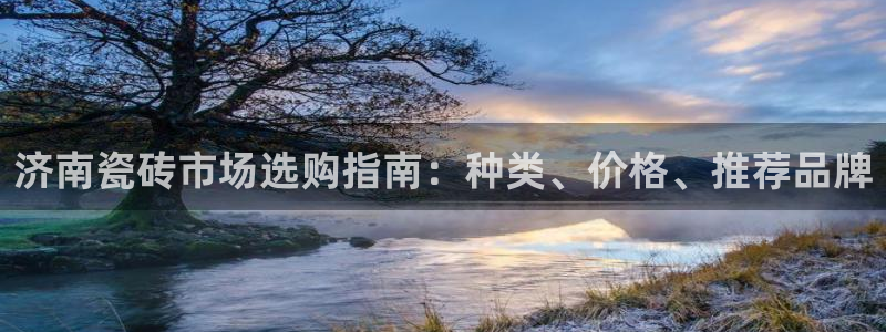 杏鑫平台怎么样