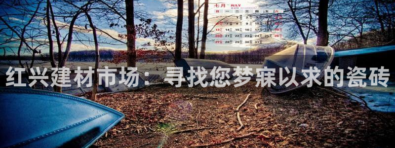 杏鑫平台招商电话号码查询