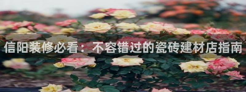 杏鑫平台代理注册多少钱一个