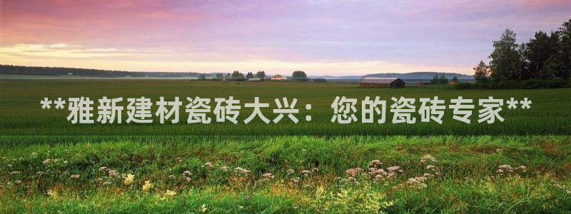 杏鑫官网注册账号是什么样的