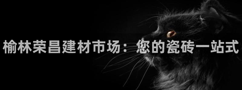 杏鑫注册登录代理