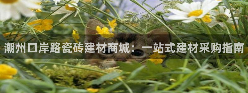 杏鑫代理注册登录