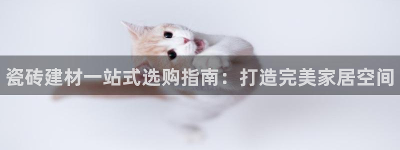 杏鑫代理注册资金多少