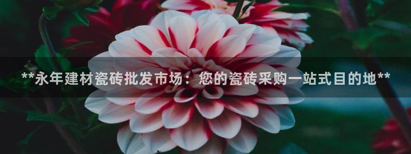 杏鑫平台代理怎么做赚钱