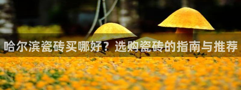 杏鑫娱乐是真的吗知乎