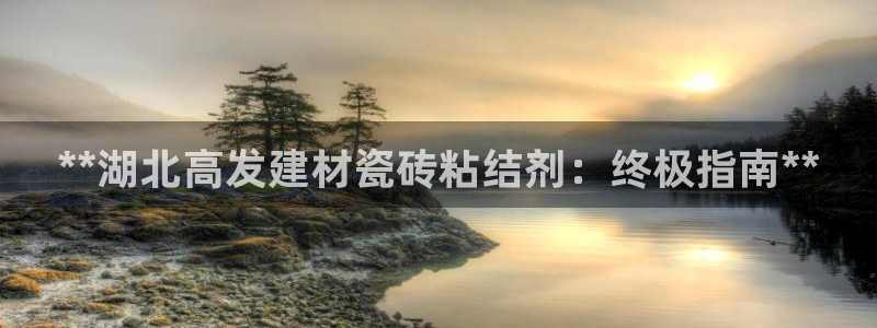 杏鑫官网注册账号是什么