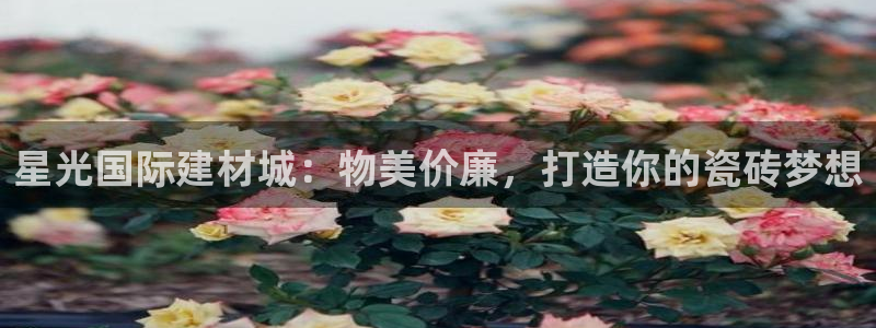 杏鑫手机客户端怎么下载